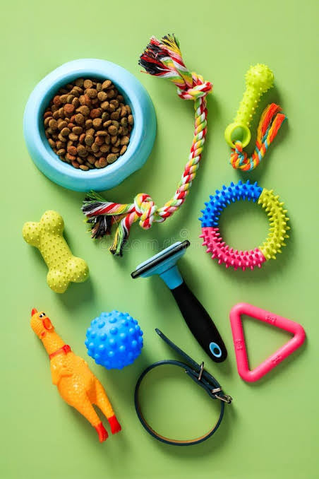 Pet Accessories