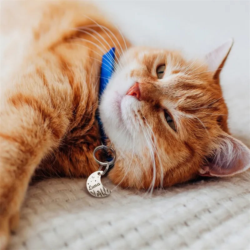 Personalized Moon Pet ID Tag – Stainless Steel Woods & Stars