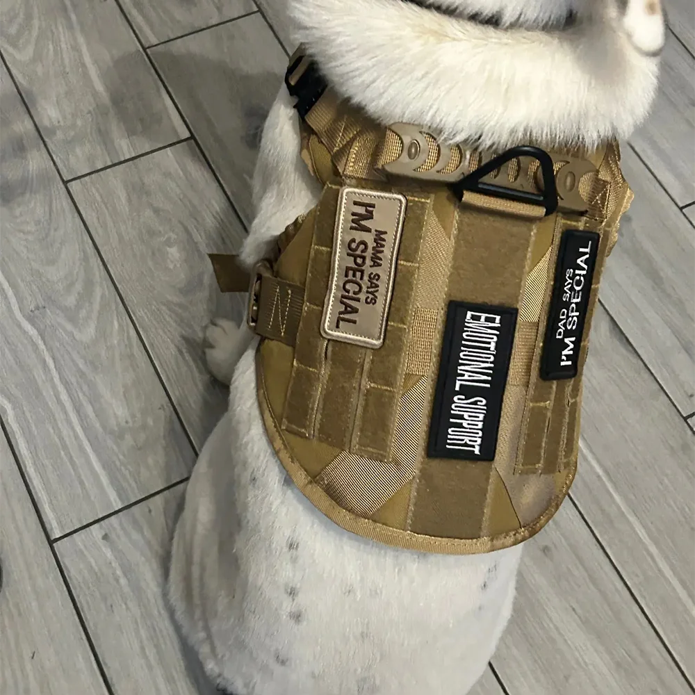 Service Pup Removable Tactical Patch for Service Dog & Cat Vest - Embroidered Design for Training & Identification