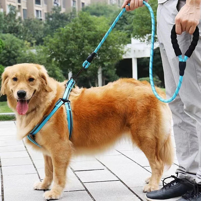 Eco-Friendly Soft Handle Dog Leash – Reflective, Strong & Functional for All Sizes (120-300CM) – Perfect for Big & Small Pups!