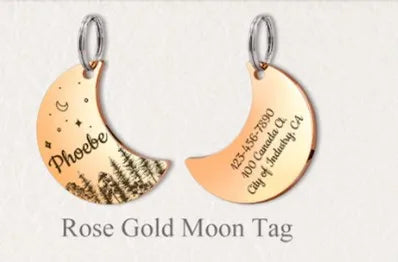 Personalized Moon Pet ID Tag – Stainless Steel Woods & Stars
