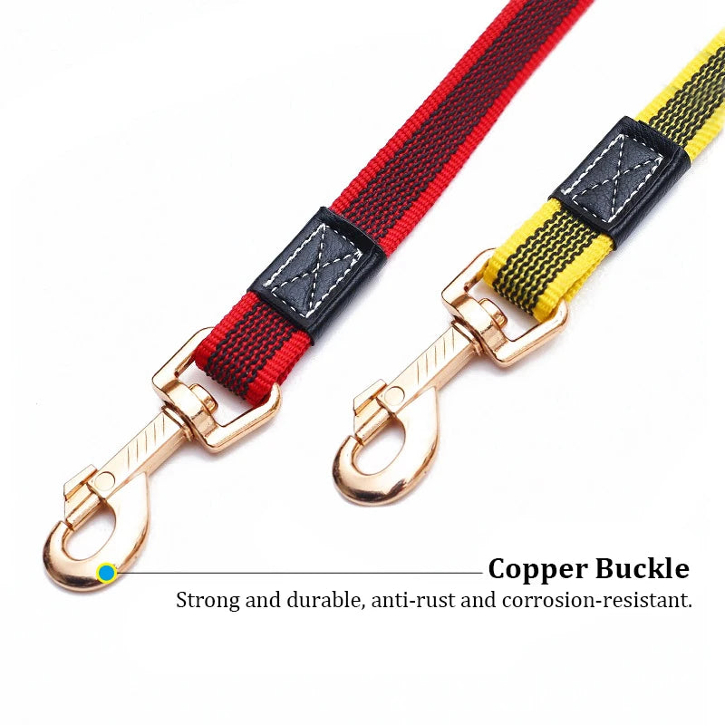 PawPal 150cm Non-Slip Dog Leash – Durable, Comfortable Training Lead for Medium & Large Dogs